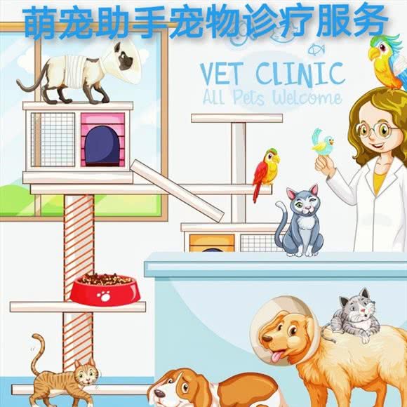 萌宠助手动物医院:惠州市惠阳区
