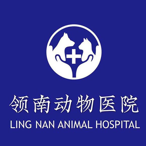 领南动物医院·24H·猫科:惠州市惠阳区
