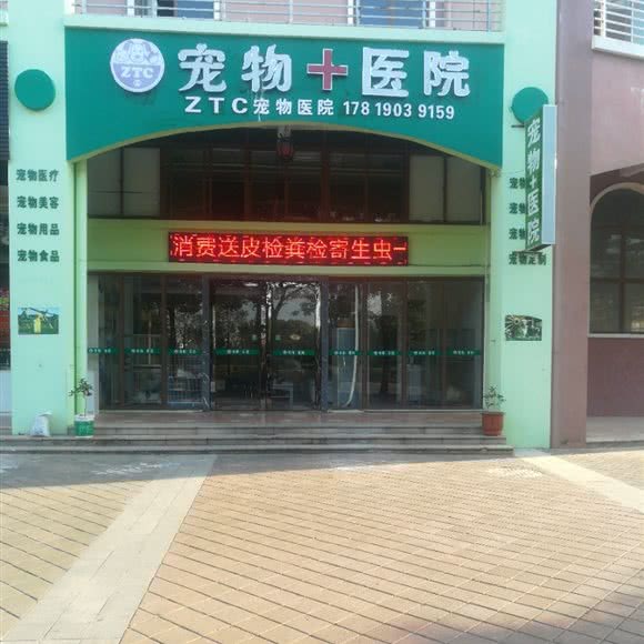 ztc宠物 医院:惠州市惠阳区
