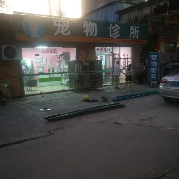 宠物诊所:惠州市惠阳区