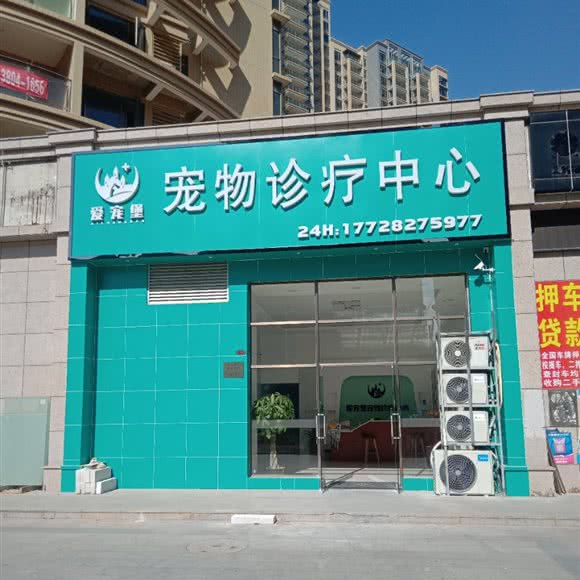 爱宠堡宠物诊疗中心:惠州市惠阳区