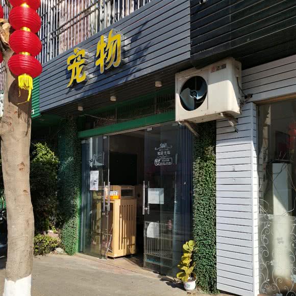 桢曦宠物:惠州市博罗县