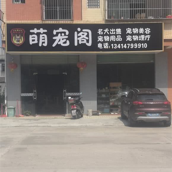 萌宠阁:惠州市博罗县