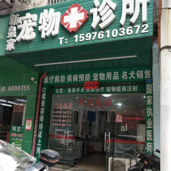 新皇家宠物诊所:惠州市博罗县