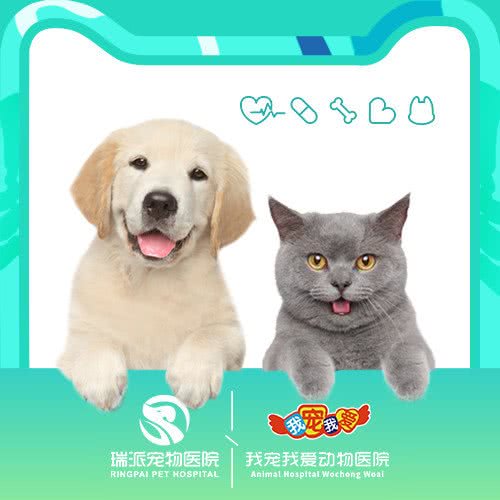 瑞派·我宠我爱动物医院(沈阳保利店):沈阳市沈河区东陵路/沈阳农业大学附近