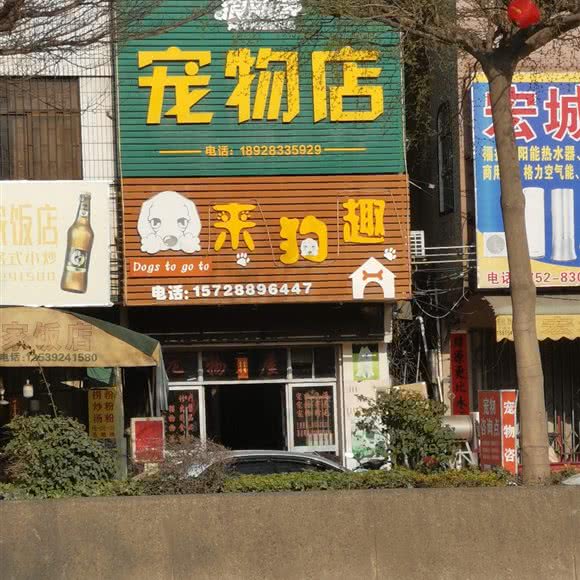 来狗趣宠物店:惠州市惠东县