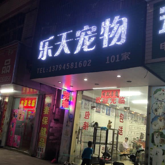 乐天宠物(101家):惠州市惠东县