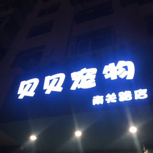 贝贝宠物:沈阳市沈河区文艺路/文化路附近