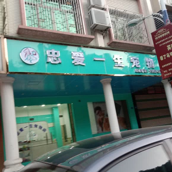 忠爱一生宠物:梅州市丰顺县