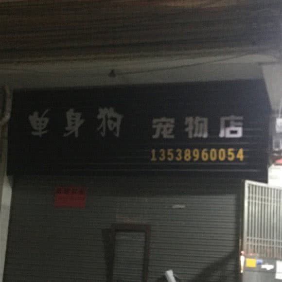 单身狗宠物店:汕尾市城区