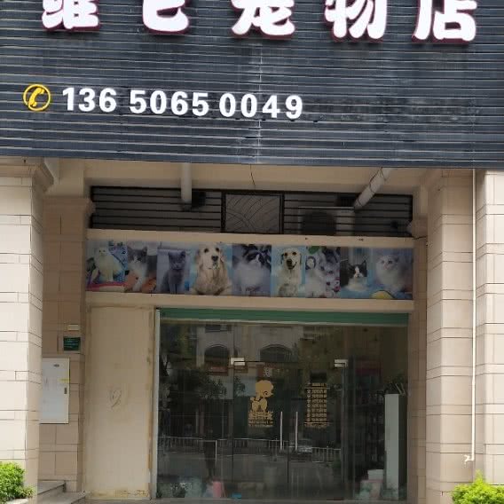 维它宠物店:河源市源城区
