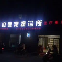 布拉德宠物诊所:河源市紫金县