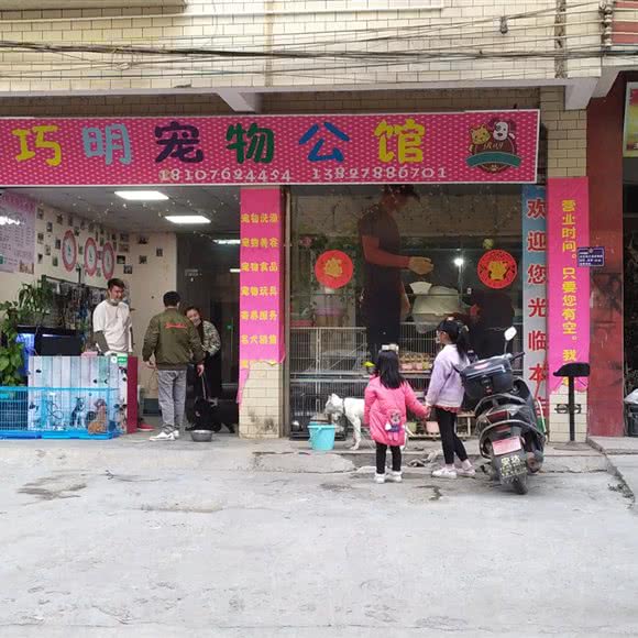 巧明宠物公馆:河源市龙川县