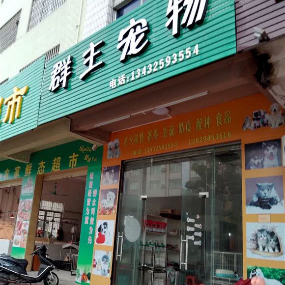 群主宠物:阳江市阳东区