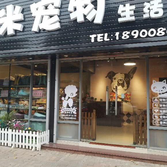 多米狗狗工作室:阳江市阳东区