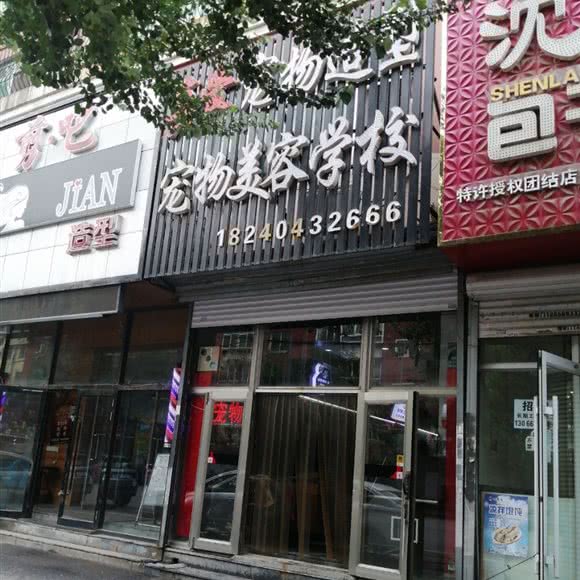 宠物美容学校:沈阳市沈河区北站/市府附近