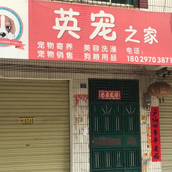 英宠之家:清远市英德市