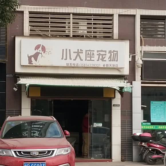 小犬座宠物(新天地店):清远市英德市