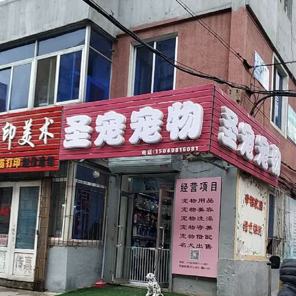 圣宠宠物:沈阳市沈河区北站/市府附近