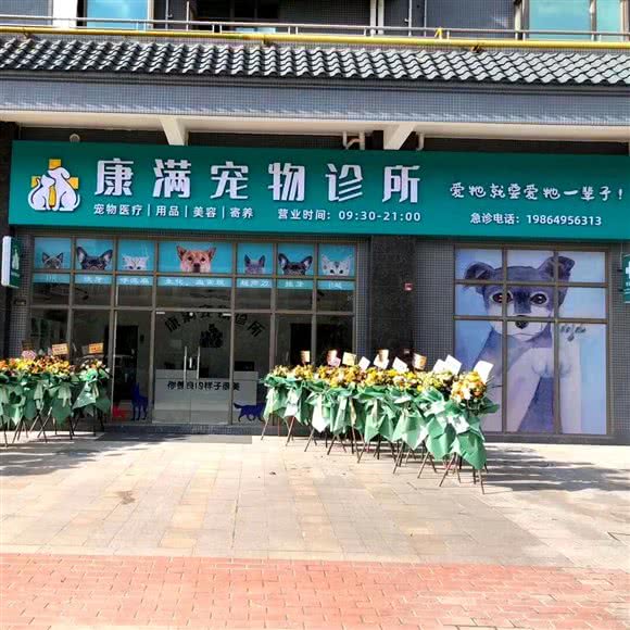 康满宠物诊所:清远市英德市