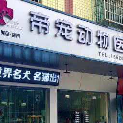 帝宠动物医疗:清远市英德市