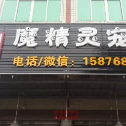 魔精灵宠屋:潮州市潮安区