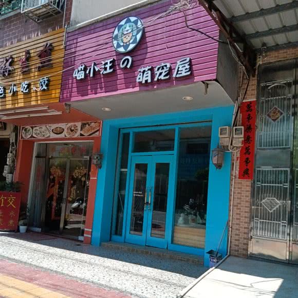 喵小汪之萌宠屋:潮州市潮安区