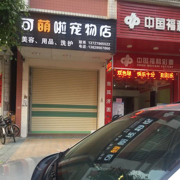 可萌啦宠物店:潮州市潮安区