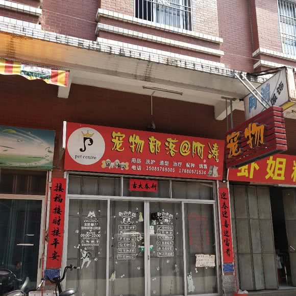 阿涛宠物部落:潮州市潮安区