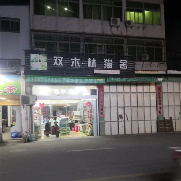 双木林猫舍:潮州市潮安区