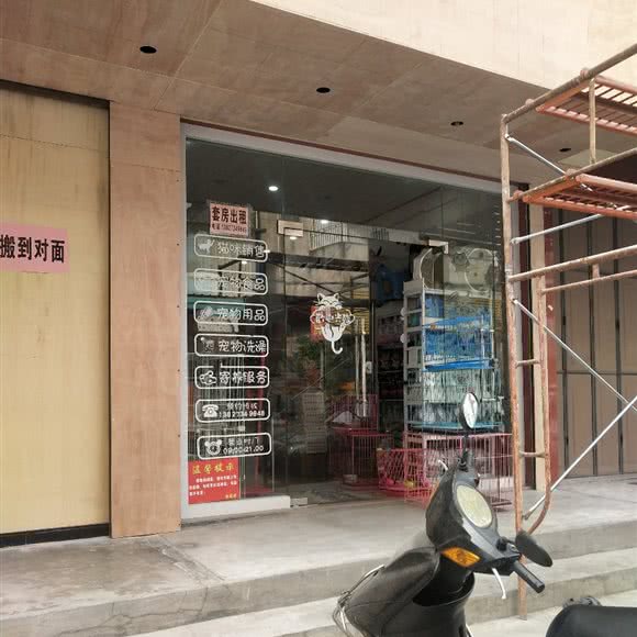 小白猫舍:潮州市潮安区