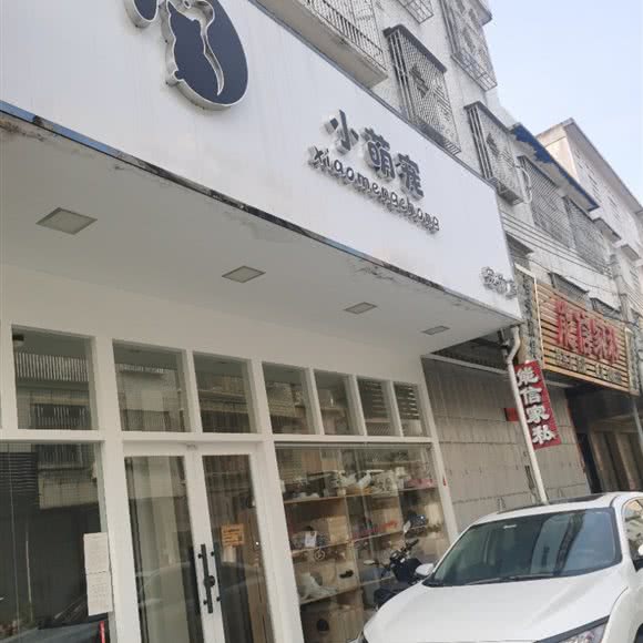 小萌宠宠物店:揭阳市榕城区