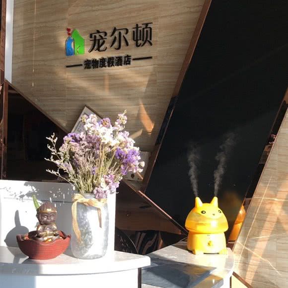宠尔顿宠物度假酒店:揭阳市榕城区