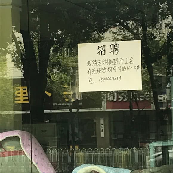 有约犬舍宠物售卖店:沈阳市沈河区五爱市场附近