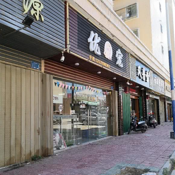 优宠:揭阳市惠来县