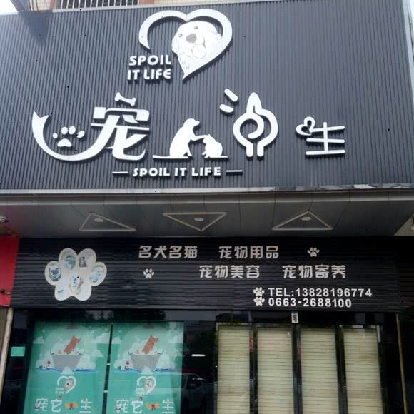 宠生:揭阳市普宁市
