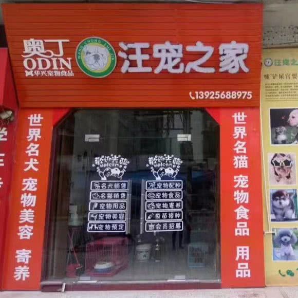 汪宠之家(宠物店):揭阳市普宁市