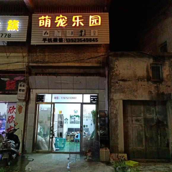 萌宠乐园(里湖大道店):揭阳市普宁市