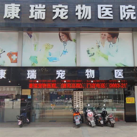 康瑞宠物医院:揭阳市普宁市