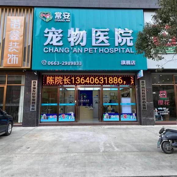 常安宠物医院:揭阳市普宁市