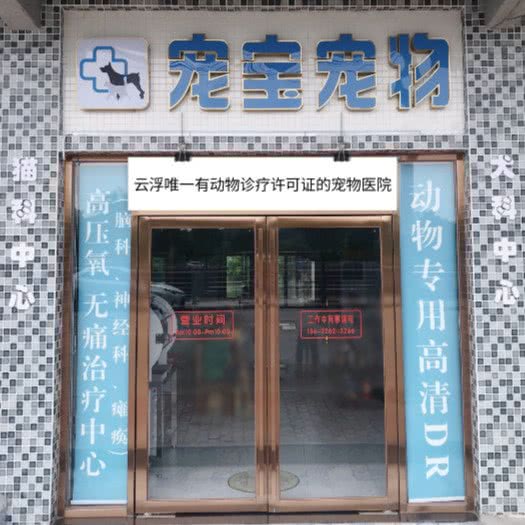 宠宝宠物医院:云浮市新兴县