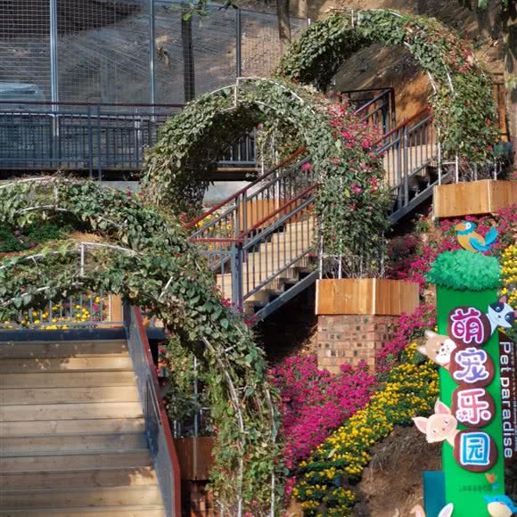 萌宠乐园:南宁市兴宁区