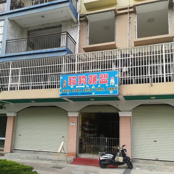 猫狗联盟:南宁市兴宁区