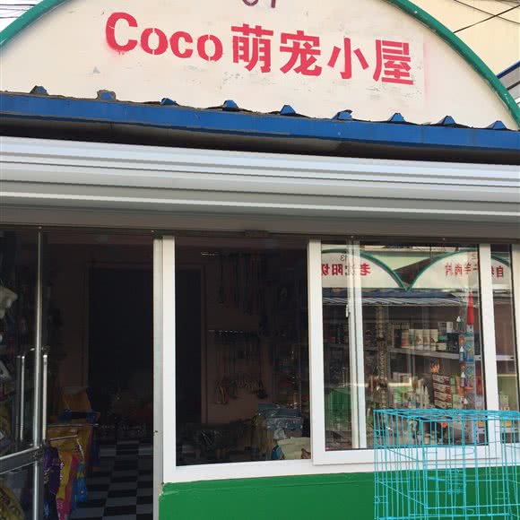 Coco萌宠小屋:沈阳市沈河区长青街附近