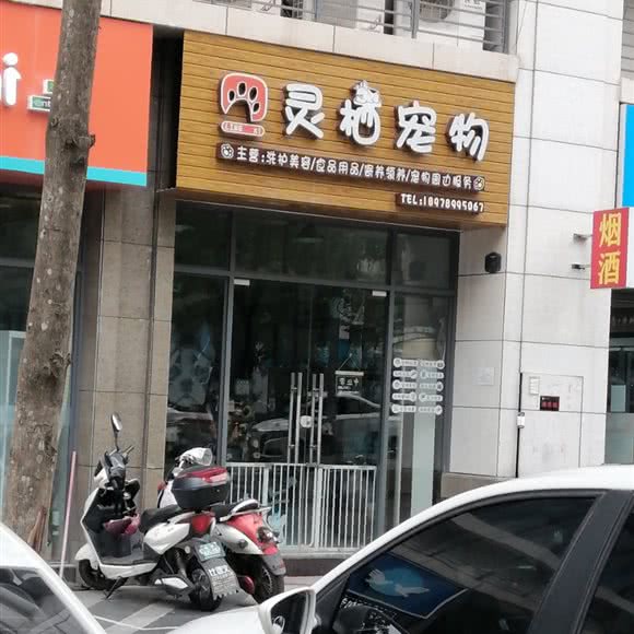 灵栖宠物:南宁市青秀区