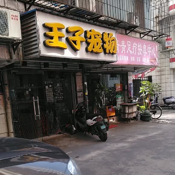 王子宠物:南宁市青秀区