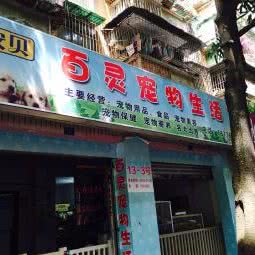 百灵宠物生活馆:南宁市青秀区