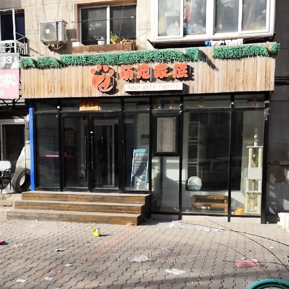 萌宠家族:沈阳市沈河区长青街附近