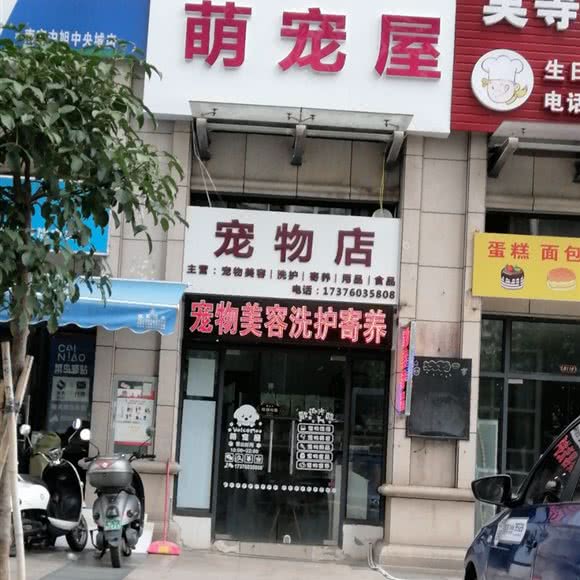 萌宠屋:南宁市江南区