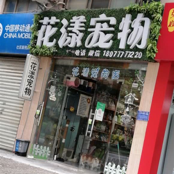 花漾宠物:南宁市江南区